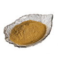 factory suppy high quiaty Bletilla striata stem extract powder